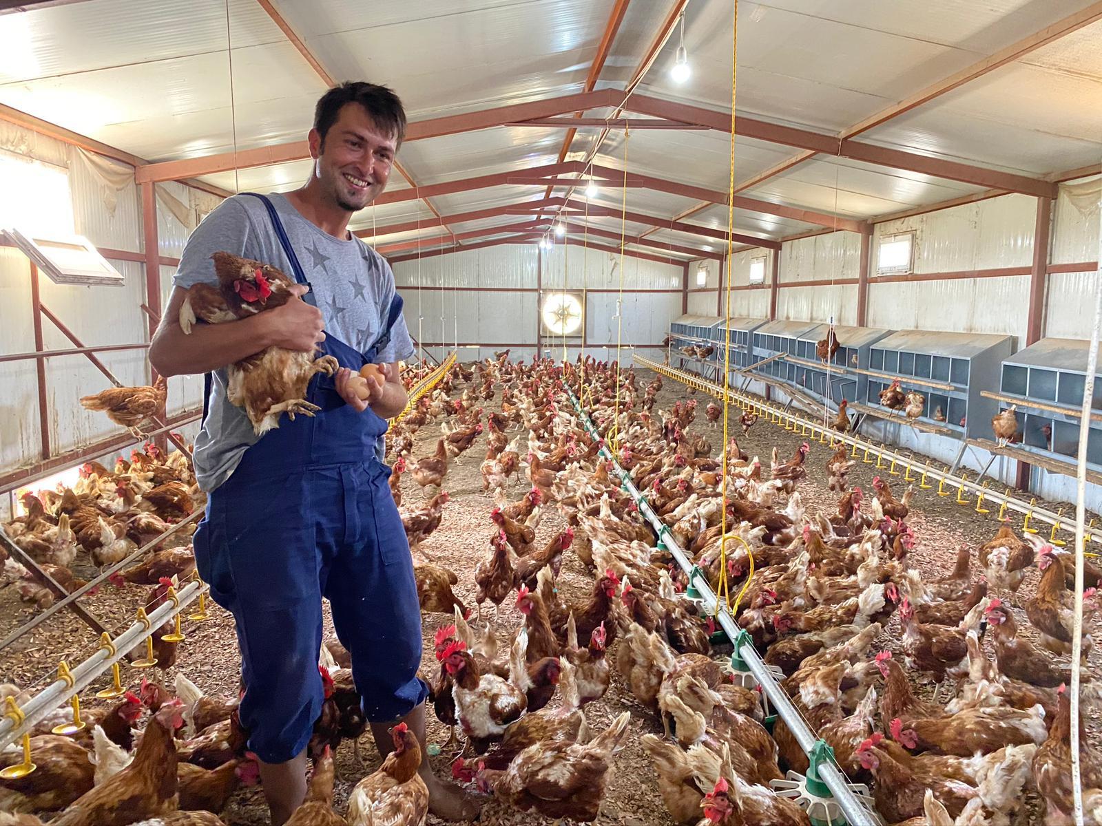 Tavuk bakımı ipuçları